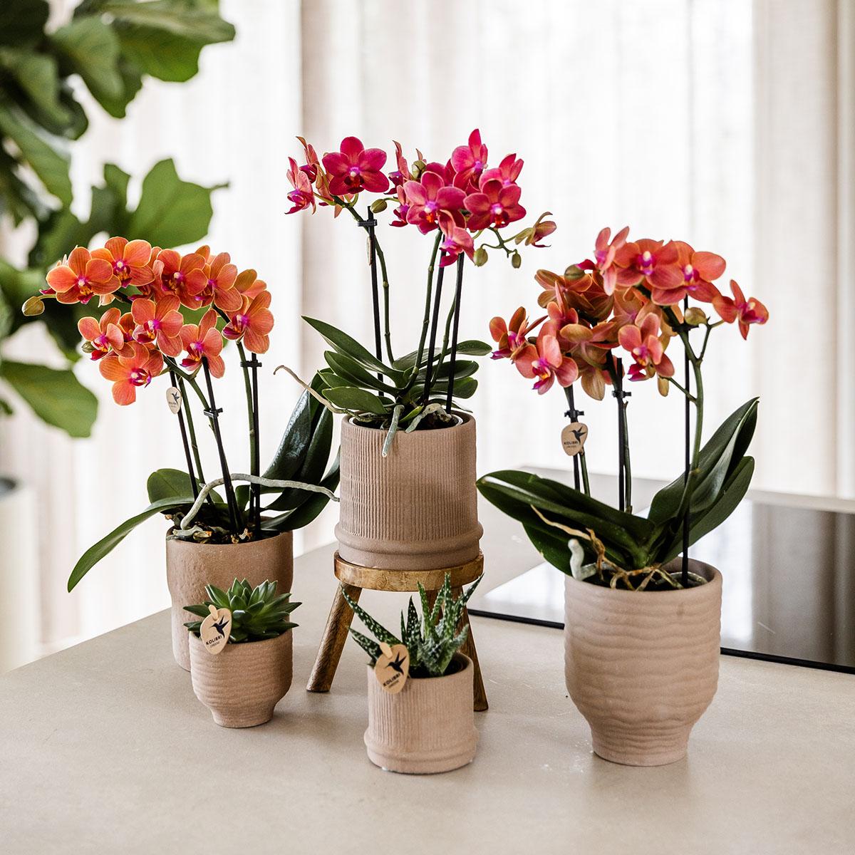 Rustic Zierpflanztopf Sand – Ø9cm – Kleiner Blumentopf in natürlichem Sandton – Organische Form im Slow Living Stil – Für Innenräume & dezente Wohnakzente 