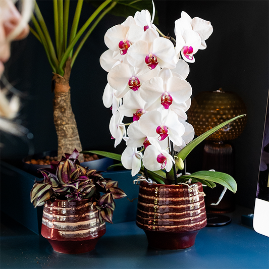 Kolibri Home | Moonstone Burgundy Übertopf - Ø12cm 