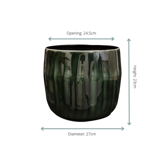 Pot Babet Pine - D27 x H23 