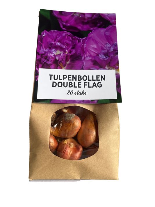 Tulpenzwiebeln Double flag – 20 Stück – Frühblüher Blumenzwiebeln – Bunte Tulpensorte für Garten, Topf & Beet – Pflegeleicht & winterhart – Ideal als Geschenk 