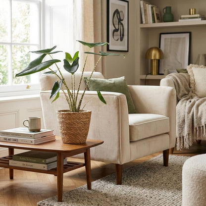 Green boutiQ - Zimmerpflanze - Elefantenohr - Alocasia Zebrina - Grün - Pflegeleicht - 1 Pflanze - inkl. Korb - Topf 21 cm - Höhe 70 - 75 cm 