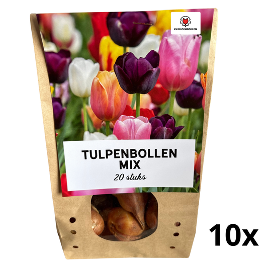 10 zakjes Tulpenbollen Mix van 20 Stuks per zakje | KH Bloembollen® | Kleurrijke Tulpenmix – Perfect voor Tuin of Pot – Maat 11/12 – Vers van de Teler 