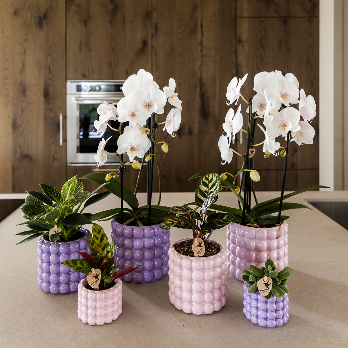 Kolibri Home | Poppy Ziertopf - Pink - Ø12cm 