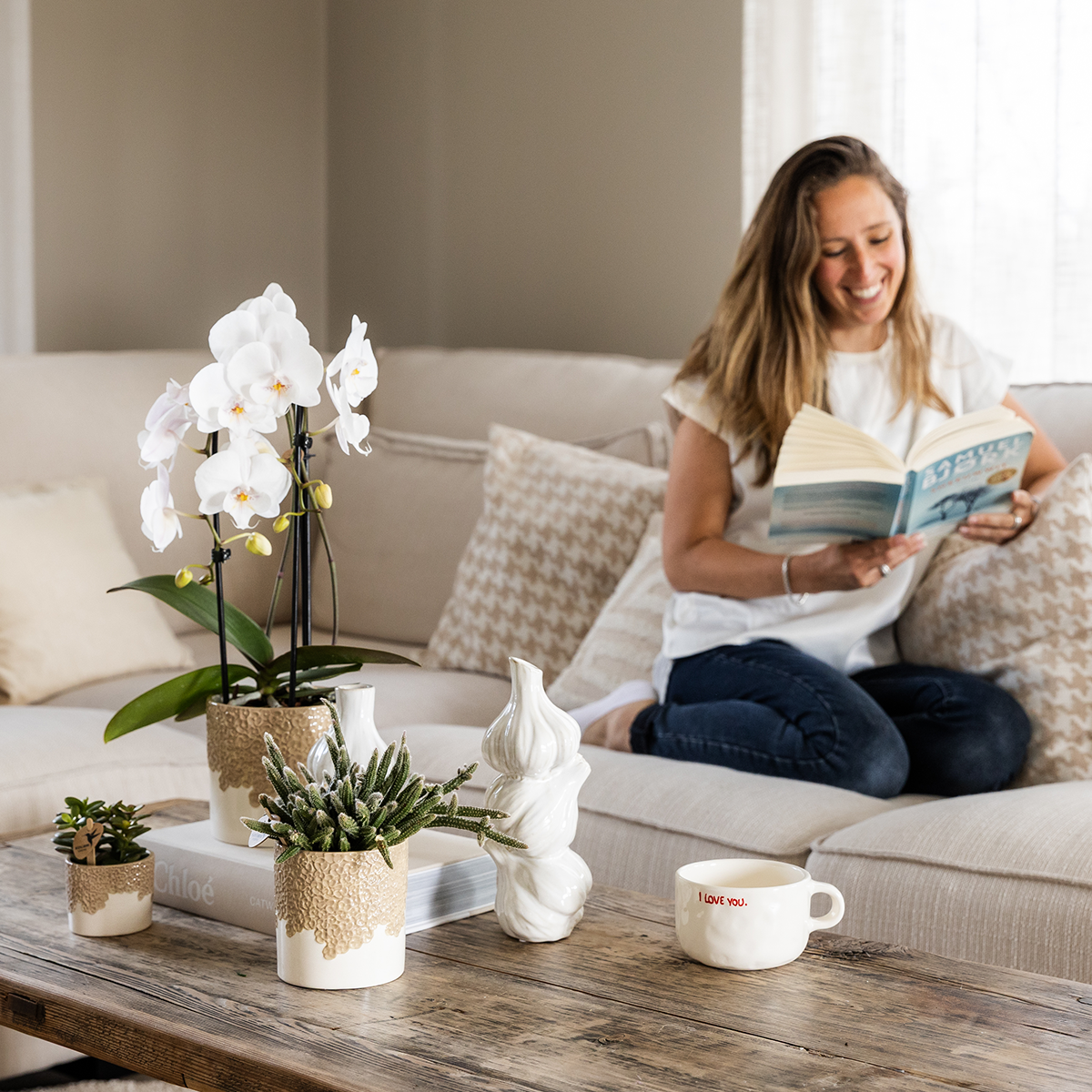 Kolibri Company | Bloom Sand Pflanzenset | Weiße Niagara Falls Orchidee 12cm + Grünpflanzen inkl. Bloom Sand Übertöpfe 