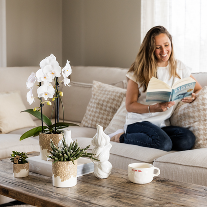 Kolibri Company | Bloom Sand Pflanzenset | Weiße Niagara Falls Orchidee 12cm + Grünpflanzen inkl. Bloom Sand Übertöpfe 