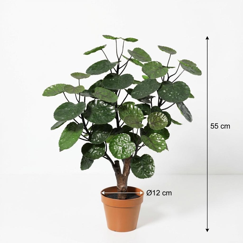 Polyscias Fabian Kunstpflanze 55cm – Dekorative Aralie Deko Pflanze – Pflegefreie Zimmerpflanze für Wohnzimmer Büro & Regal
