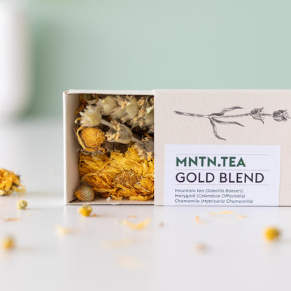 Teepause Geschenkset – Bio Gold Blend Tee & Baby-Teepflanze Camellia sinensis – Briefkastengeschenk – Nachhaltig & plastikfrei – Inkl. Pflegetipps – Für Teeliebhaber 
