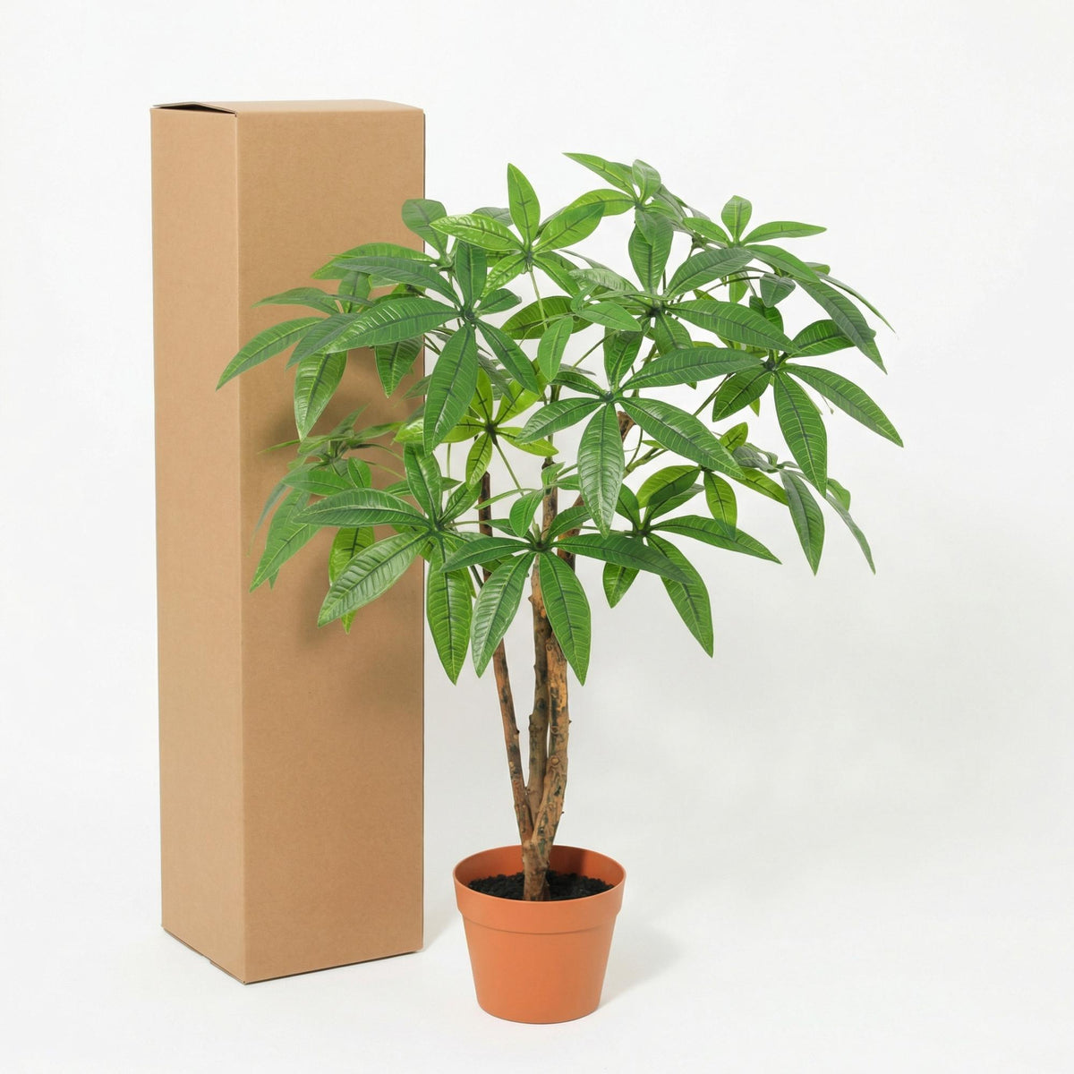 ARTIFICIAL Pachira Aquatica - 86cm 