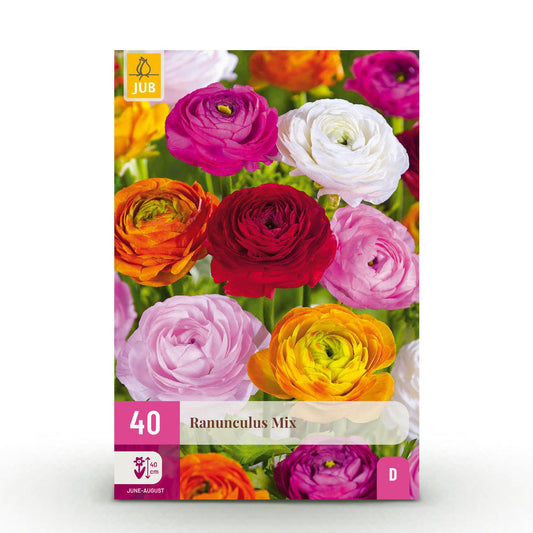GreenboutiQ - Blumenzwiebeln - Ranunculus Mix - Verschiedene Farben - 40 Stück - Zwiebelgröße 5/6 - XXL Pack 