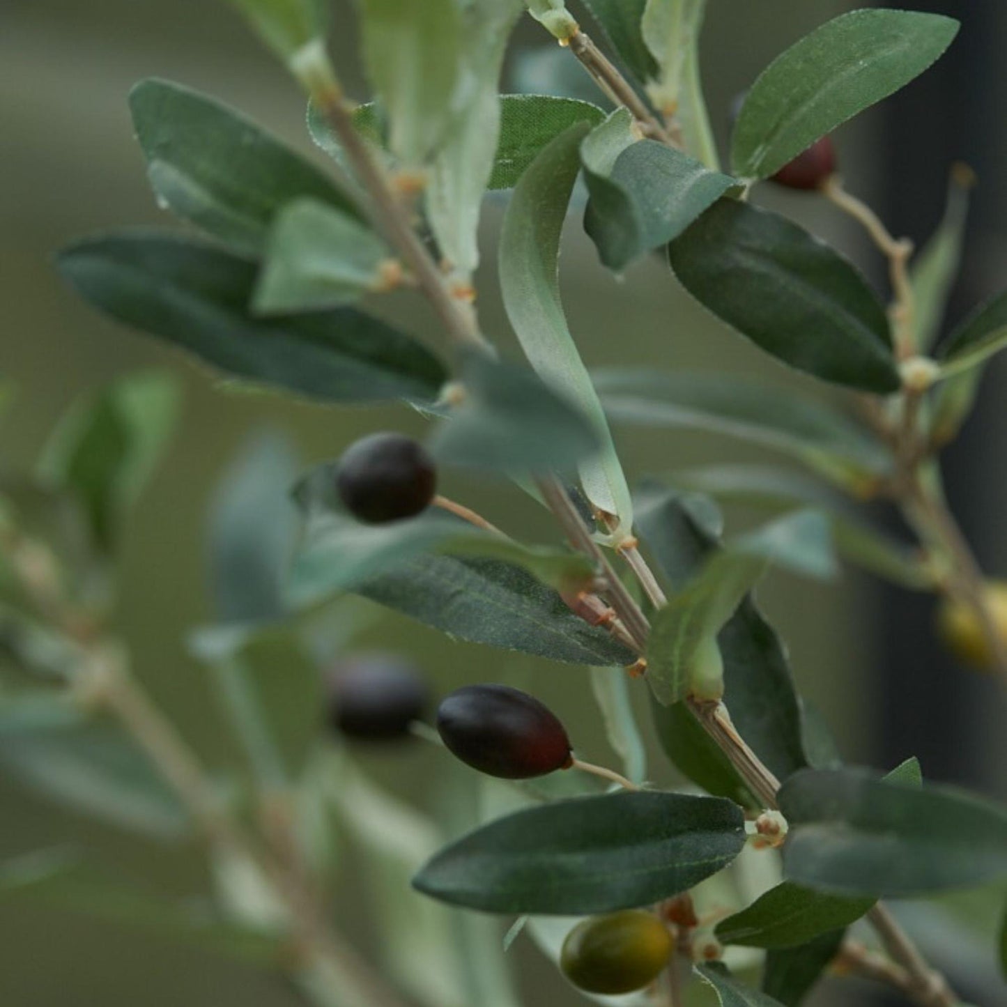 Olijfboom in pot 65cm – Kunstplant - Artificial plant 