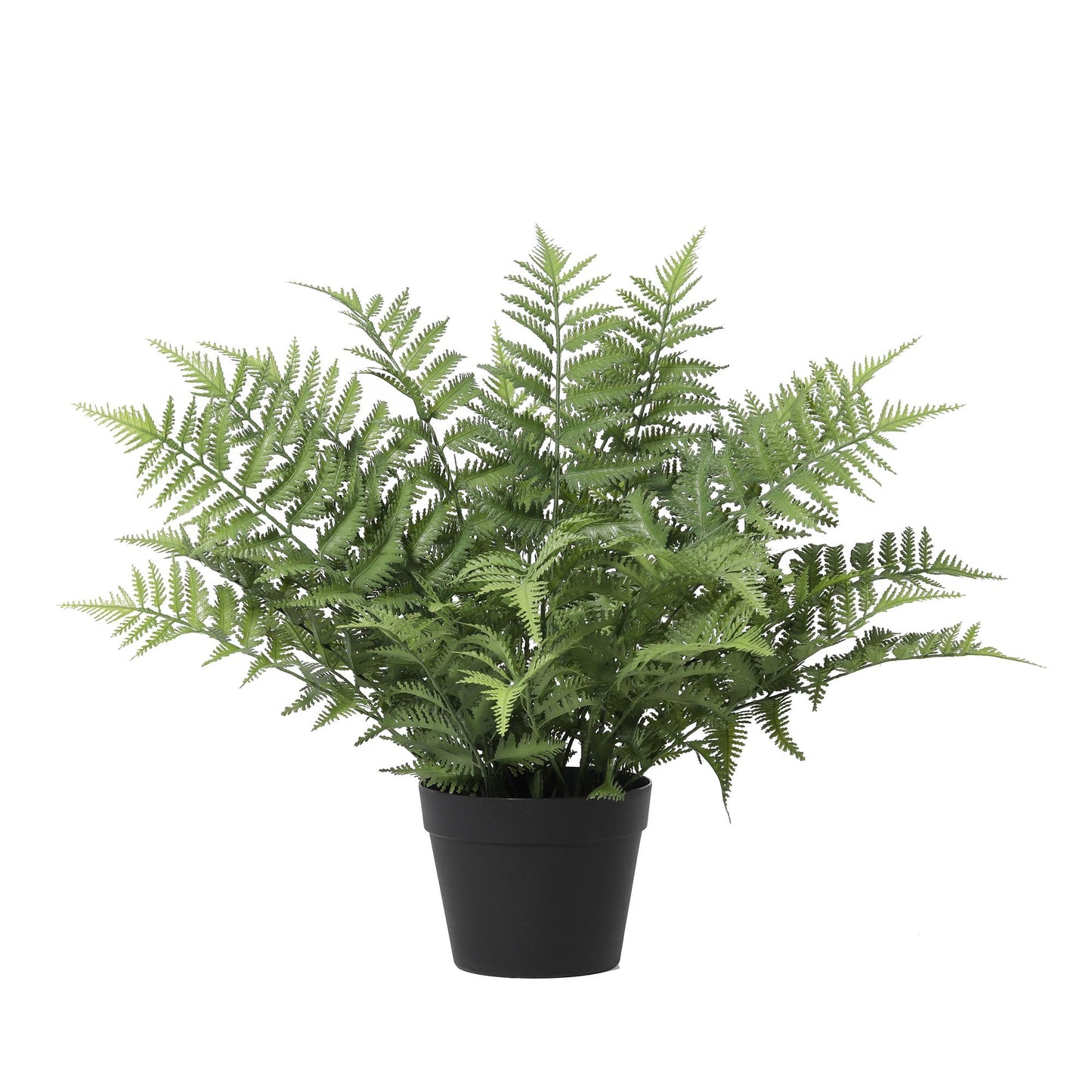 ARTIFICIAL Nephrolepis exaltata - 59cm 