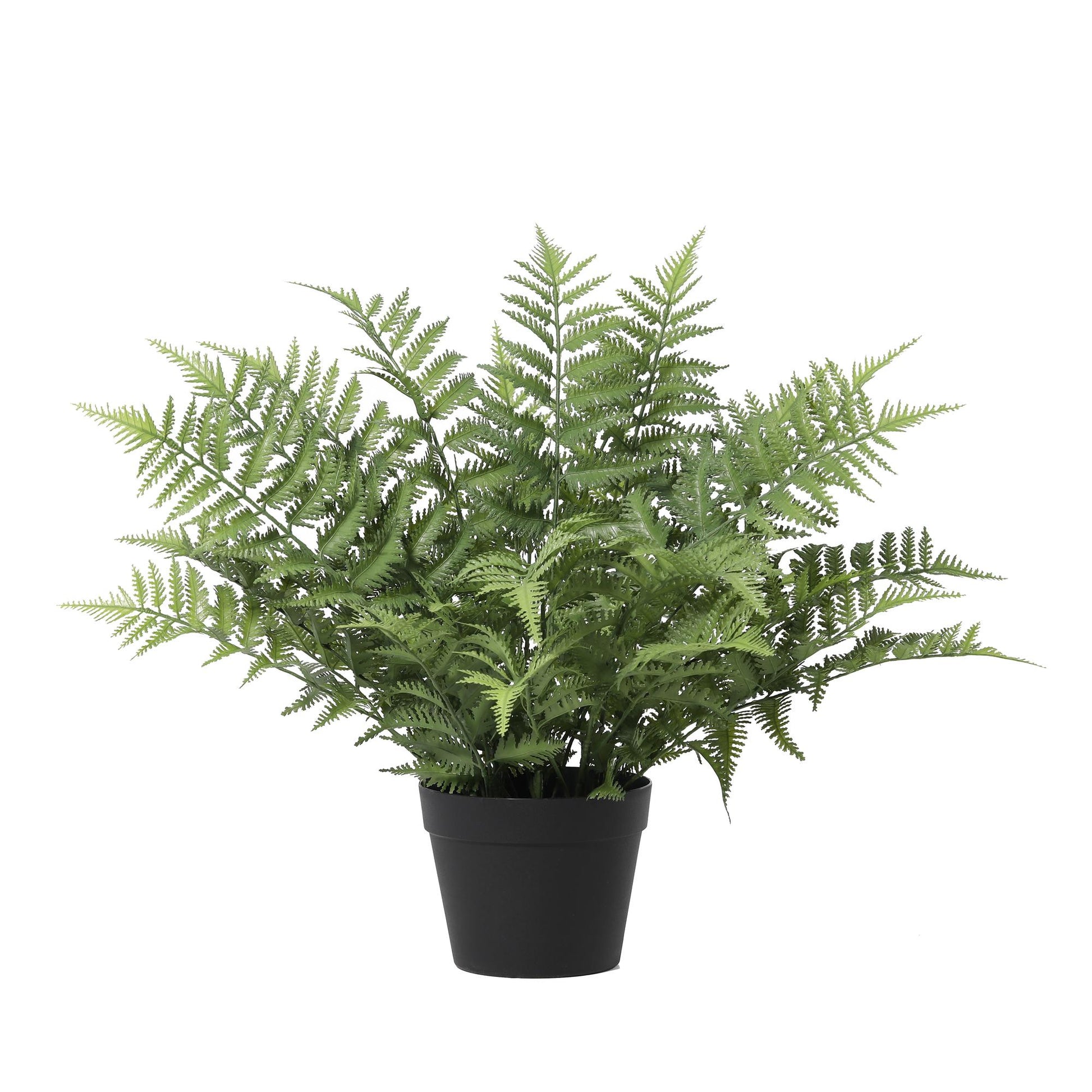 ARTIFICIAL Nephrolepis exaltata - 59cm 