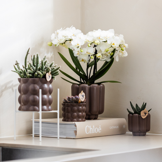 Kolibri Home | Cotton sierpot - Brown - Ø6cm 