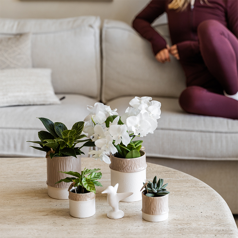 Kolibri Home | Tree Übertopf - Sand - Ø9cm 