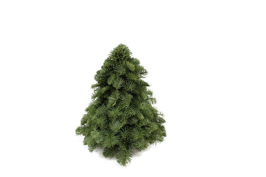 Nobilis Weihnachtsbaum 30cm – Mini Tannenbaum mit dichter Form – Dunkelgrüne Nadeln mit silbrigem Glanz – Ideal für Innen & Außen – Langanhaltend frisch – Perfekt für weihnachtliche Dekoration 