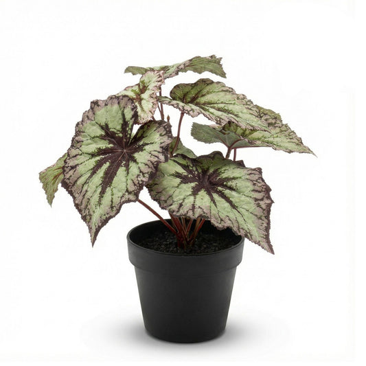 Begonie Kunstpflanze – ca.26cm – Grau-violette Blätter – UV-beständig – Künstliche Pflanze im Topf – Pflegefreie Deko für Innen & Außen Balkon Terrasse