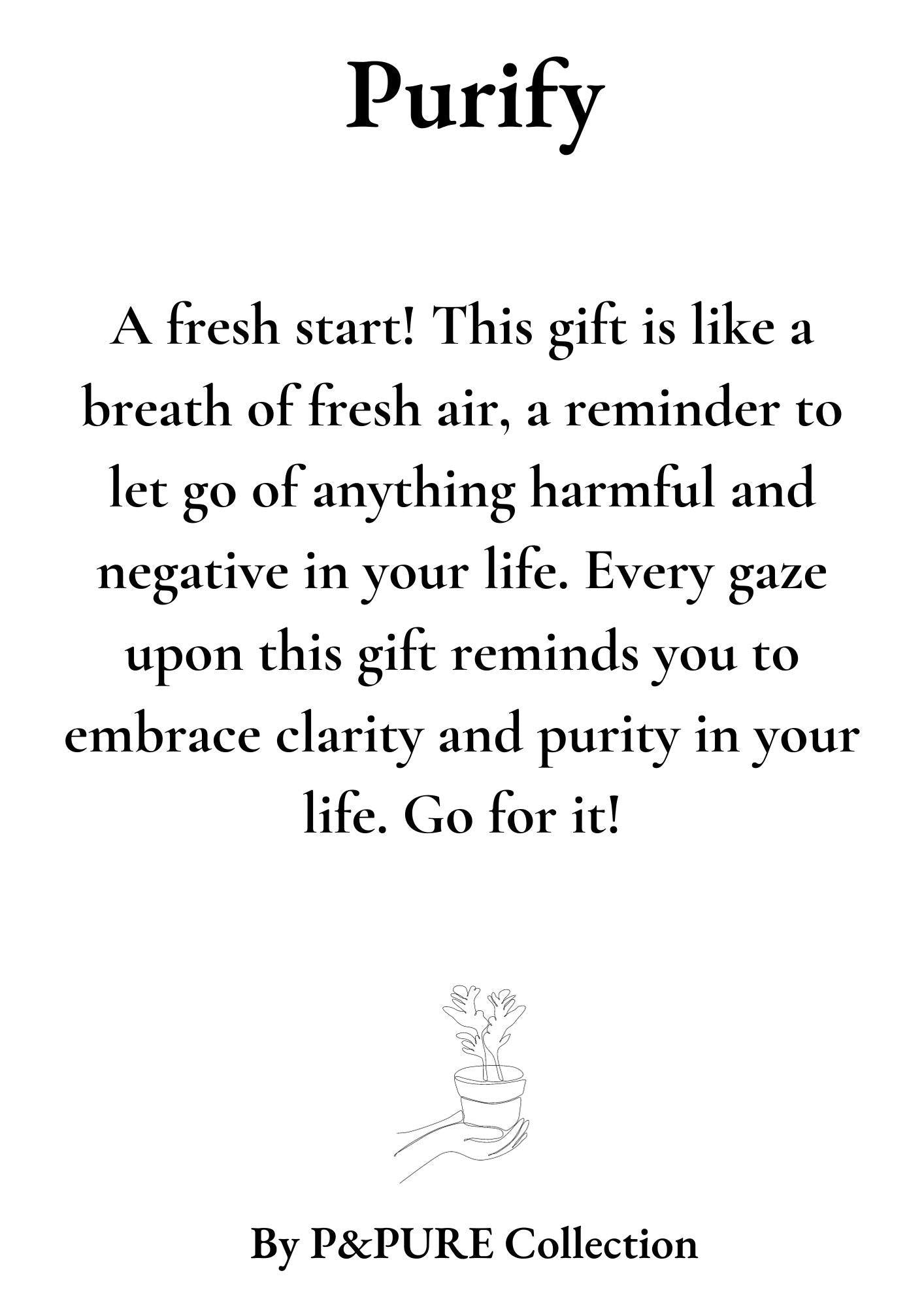 Clusia Rosea Gift "Purify" WITH GREETING CARD! - Ø12cm - ↕30cm 