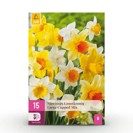 GreenboutiQ - Blumenzwiebeln - Narzisse Large Cupped mix - Farbe Gelb und Weiß - 15 Stück - Zwiebelgröße 12/14 - XXL Pack 