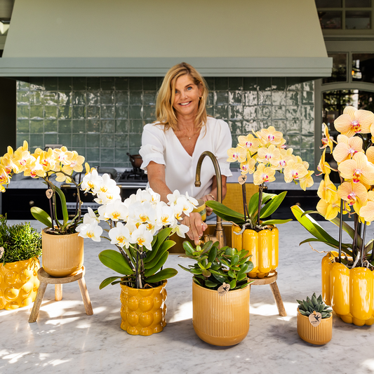 Kolibri Home | Flare Dekotopf - Ocher - Ø9cm 