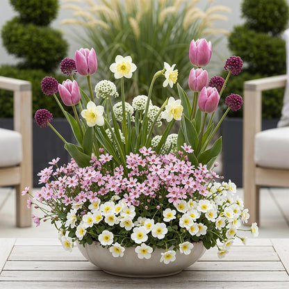 GreenboutiQ - Blumenzwiebeln - Bulb Garden Pink Mix - Verschiedene Sorten - Farbe Rosa - 125 Stück - Geschenkverpackung 
