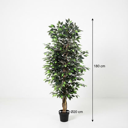 Ficus Benjamina Kunstpflanze 180cm – Große Birkenfeige Deko Pflanze – Pflegefreie Zimmerpflanze für Wohnzimmer Büro & Empfangsbereich