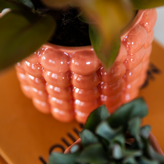Kolibri Home | Poppy Ziertopf - Orange - Ø9cm 