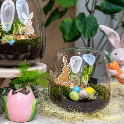 Emma Oster - Offenes Terrarium - Flaschengarten DIY Kit - Ø 23 cm ↑ 25 cm 