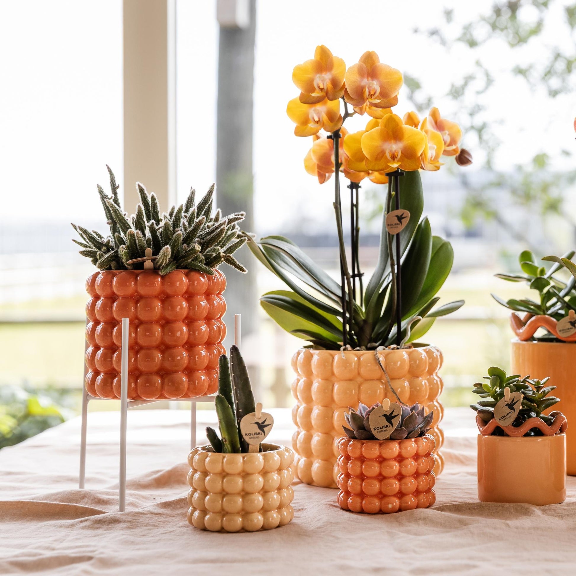 Kolibri Home | Pflanzenständer - Weißer Metall-Pflanzenständer Ø12cm 