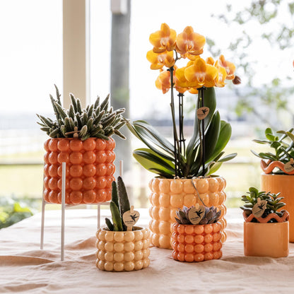 Kolibri Home | Pflanzenständer - Weißer Metall-Pflanzenständer Ø12cm 