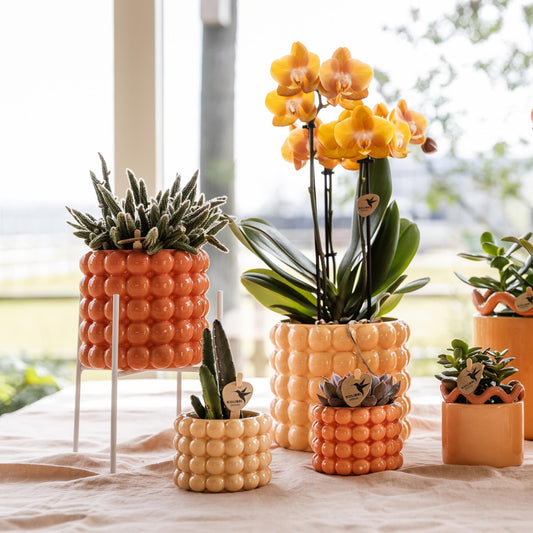 Kolibri Home | Pflanzenständer - Weißer Metall-Pflanzenständer Ø12cm 