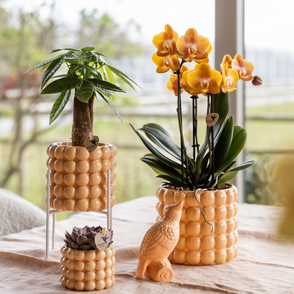 Kolibri Home | Poppy Ziertopf - Peach - Ø6cm 