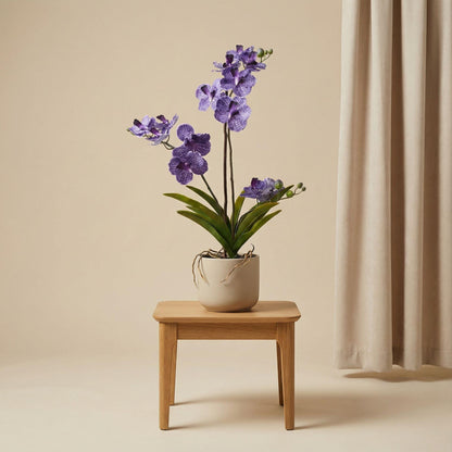 Orchidee Vanda Kunstpflanze – ca.60cm – Violett – Künstliche Orchidee im Topf – Pflegefreie Dekopflanze für Wohnzimmer Büro & Empfang