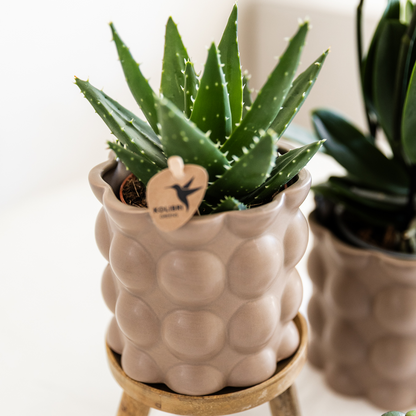 Kolibri Home | Cotton sierpot - Sand - Ø9cm 