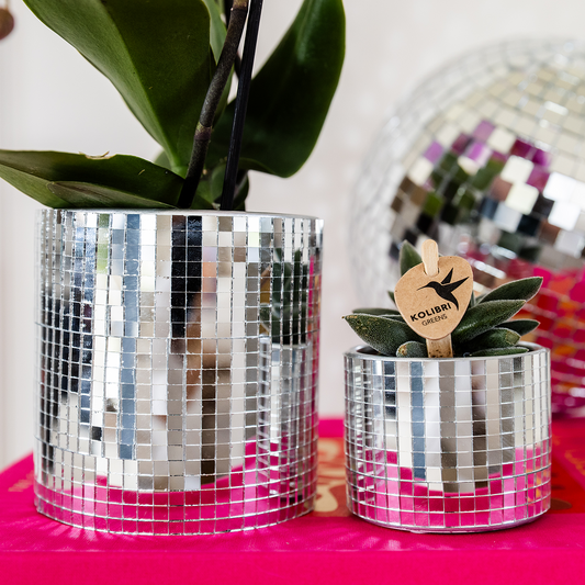 Kolibri Home | Disco sierpot - Ø9cm 