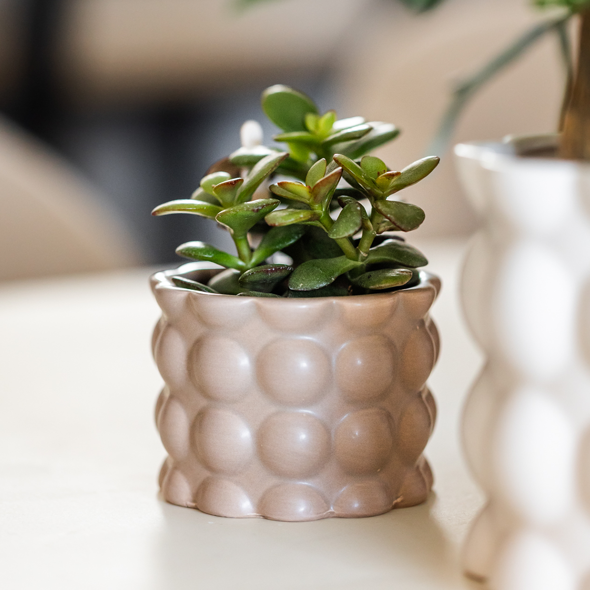 Kolibri Home | Cotton sierpot - Sand - Ø6cm 