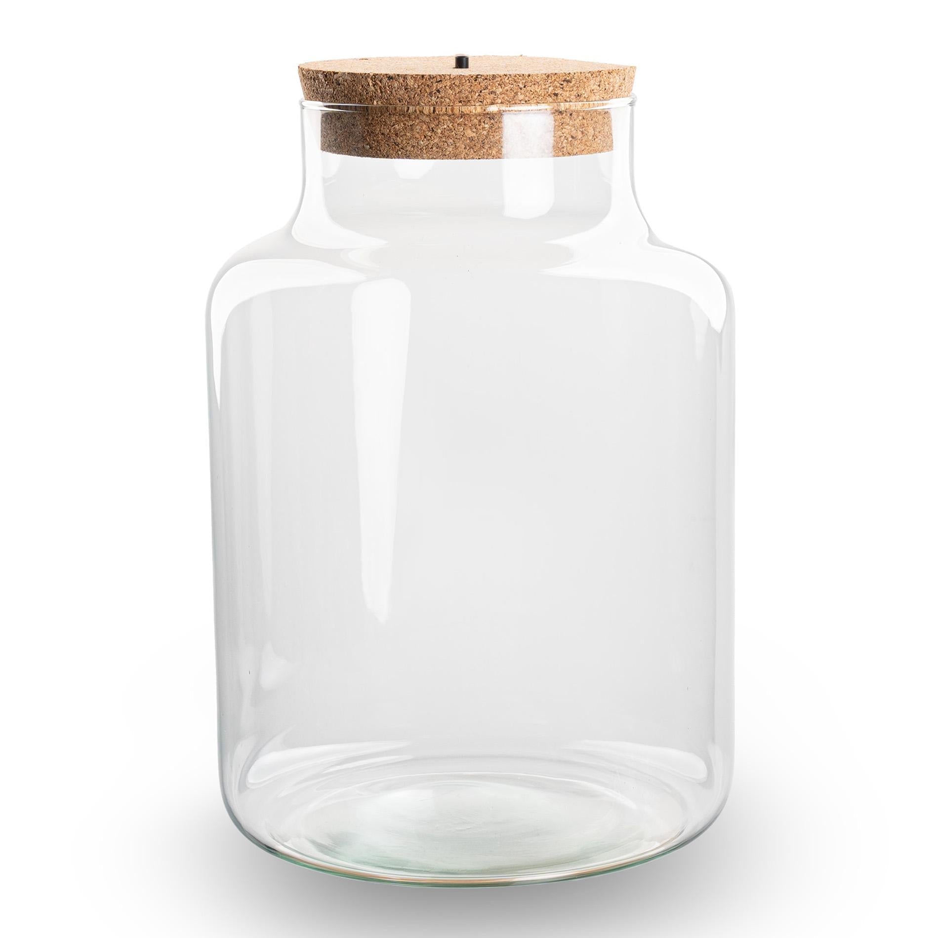 Terrarium fles met kurk - Little Milky met led kurk - Gesloten groot terrarium ↑ 24.5 cm 