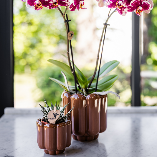 Kolibri Home | Retro Shine Übertopf - Brown - Ø9cm 