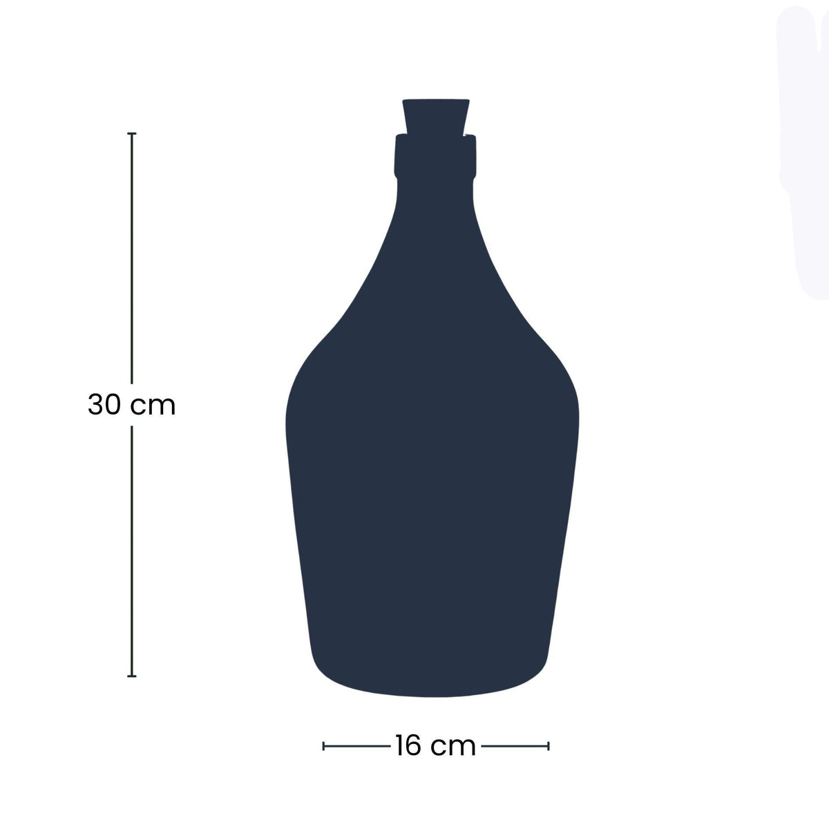 Love in a Bottle - DIY Open Planten terrarium - Ø 16 cm ↑ 30 cm 