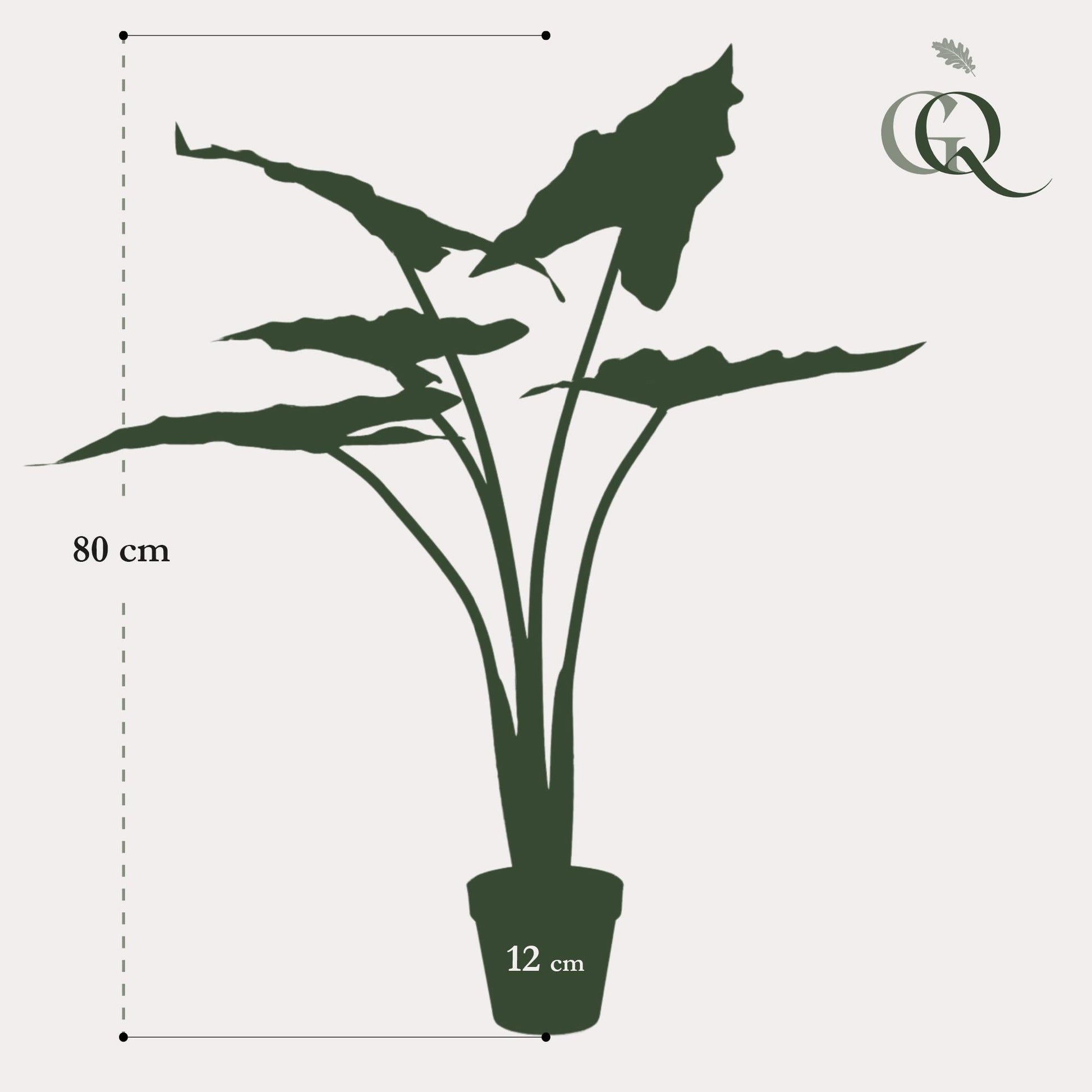 Kunstpflanze - Alocasia Frydek - 80 cm 
