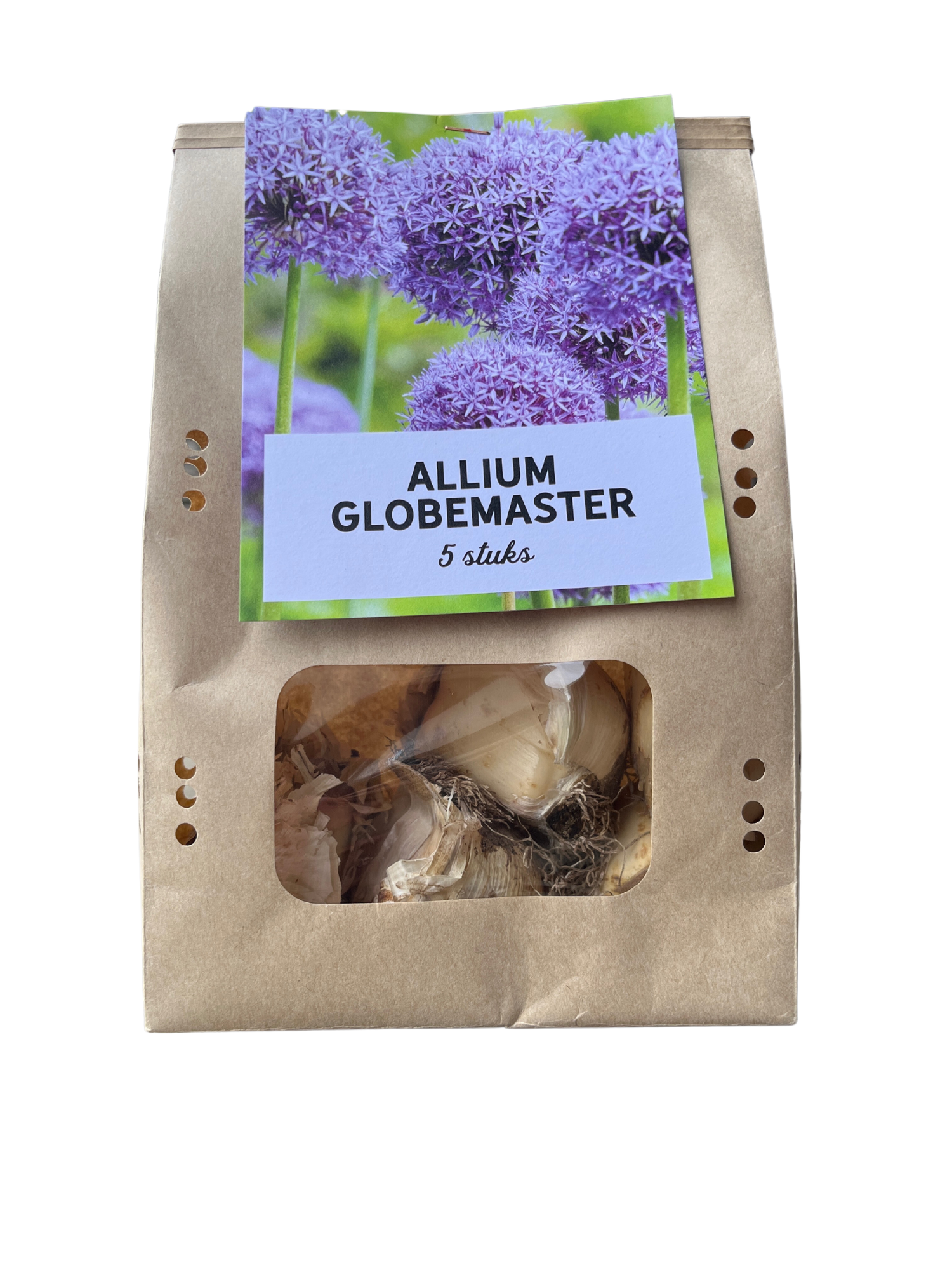 Allium 'Globemaster' – Zierlauch Blumenzwiebeln – 5 Blumenzwiebeln – Extra große violette Blütenbälle – Winterharte Staude für Beet, Rabatte & Schnitt – XXL-Zwiebeln 