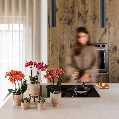Rustic Zierpflanztopf Sand – Ø9cm – Kleiner Blumentopf in natürlichem Sandton – Organische Form im Slow Living Stil – Für Innenräume & dezente Wohnakzente 