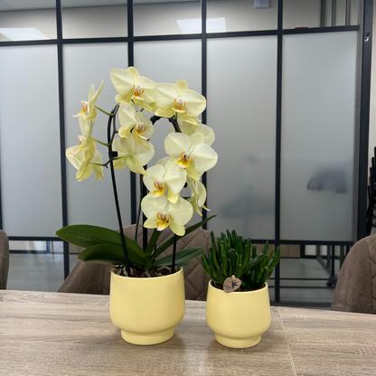 Scandic Blumentopf  - Yellow - ⌀9cm