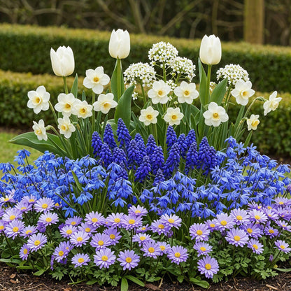GreenboutiQ - Blumenzwiebeln - Bulb Garden Blue mix - Verschiedene Sorten - Farbe Blau - 125 Stück - Geschenkverpackung 