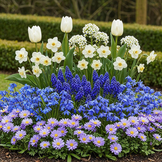 GreenboutiQ - Blumenzwiebeln - Bulb Garden Blue mix - Verschiedene Sorten - Farbe Blau - 125 Stück - Geschenkverpackung 