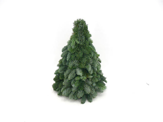 Nobilis Weihnachtsbaum 40cm – Mini Tannenbaum mit dichter Form – Dunkelgrüne Nadeln mit silbrigem Glanz – Für Innen & Außen geeignet – Langanhaltend frisch – Ideal für festliche Tisch- & Raumdekoration 