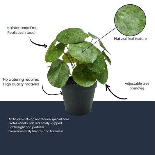 Pilea Kunstpflanze Busch – ca.25cm – Im schwarzen Topf – Realistische künstliche Zimmerpflanze – Pflegefreie Deko für Fensterbank Regal & Büro