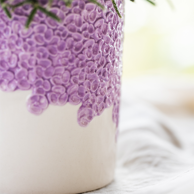 Kolibri Company | Bloom Purple Pflanzenset | Violette Vienna Orchidee + Grünpflanzen inkl. Übertöpfe 