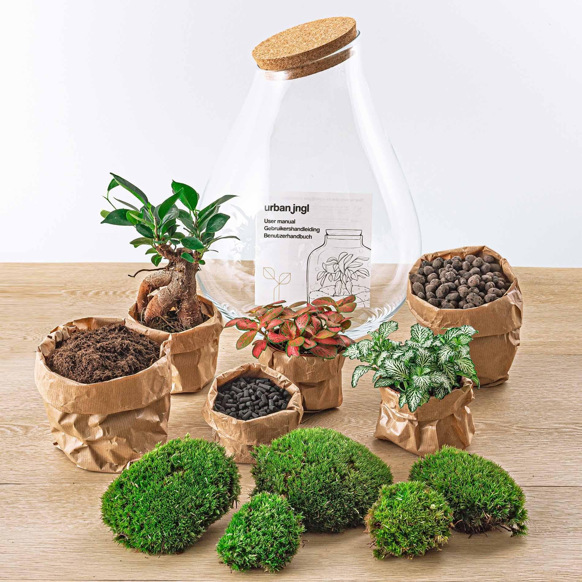 Flaschengarten - DIY Bausatz - Terrarium - Drop XL - ↕37cm 