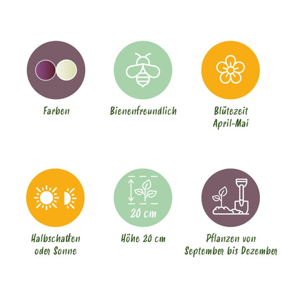 GreenboutiQ - Blumenzwiebeln - Fritillaria Meleagris Mix - Farbe Lila und Weiß - 30 Stück - Zwiebelgröße 6/7 - XXL Pack 
