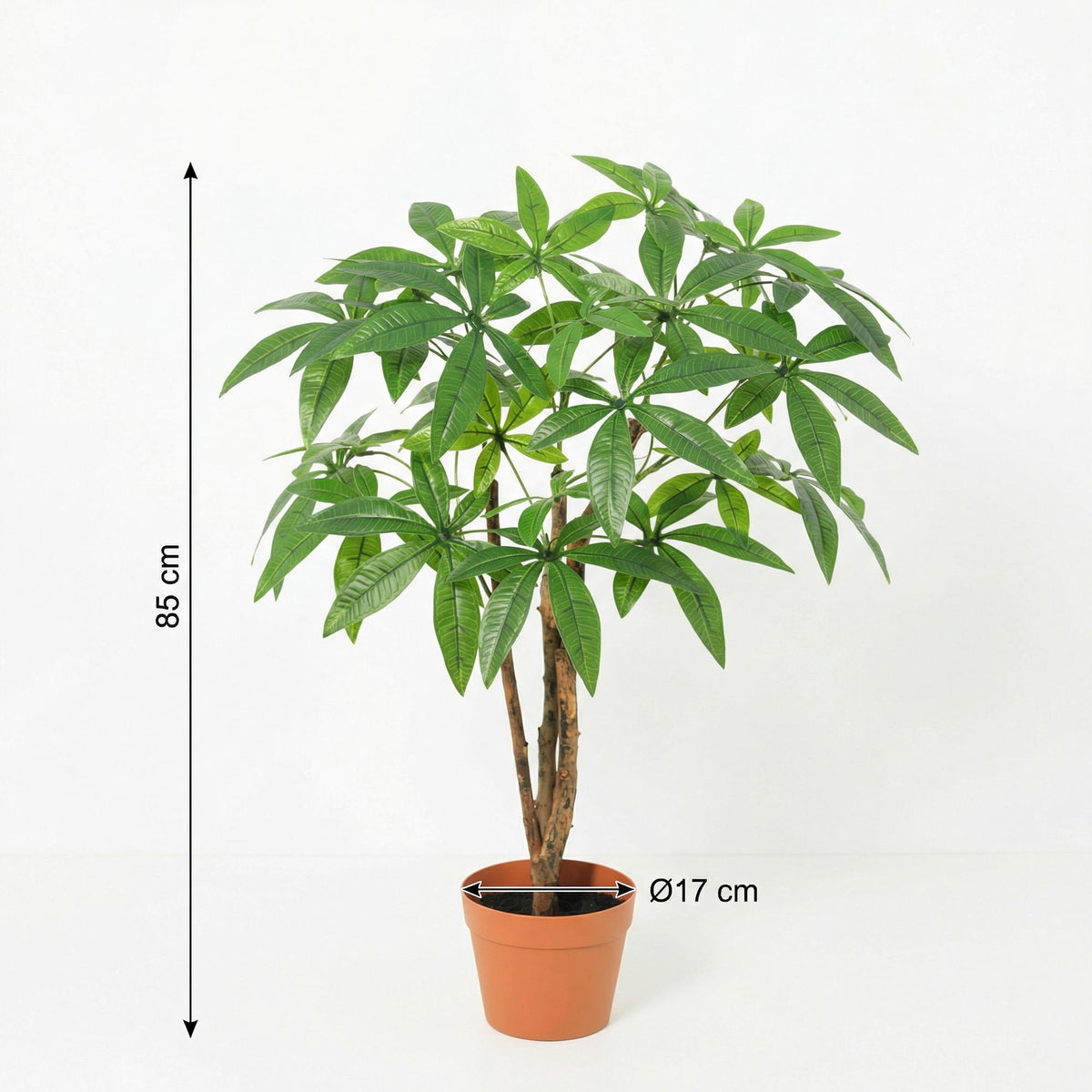 ARTIFICIAL Pachira Aquatica - 86cm 